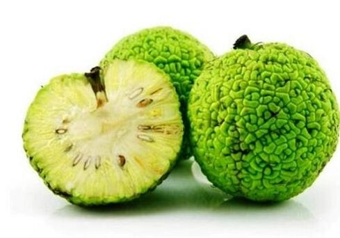Maclu
